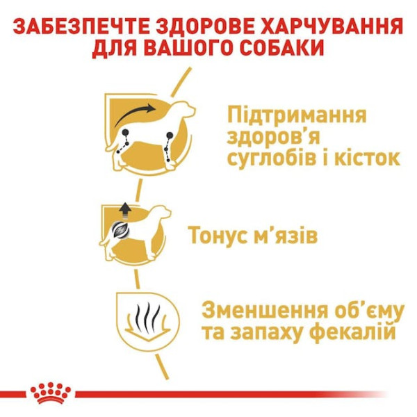 Сухий корм для дорослих собак породи такса Royal Canin Dachshund 28 Adult
