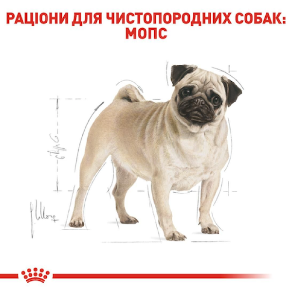 Сухий корм Royal Canin (Роял Канін) Pug Adult для собак породи Мопс 3 кг