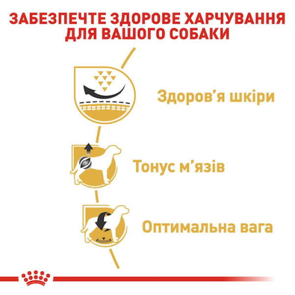 Сухий корм Royal Canin (Роял Канін) Pug Adult для собак породи Мопс 3 кг