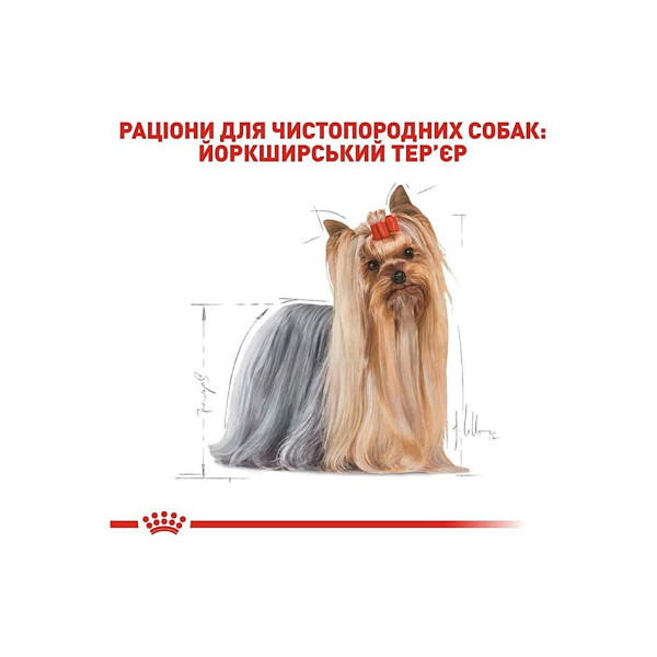 Вологий корм для дорослих собак породи Йоркширський Тер'єр (паштет) Royal Canin Yorkshire Terrier Adult 85 г