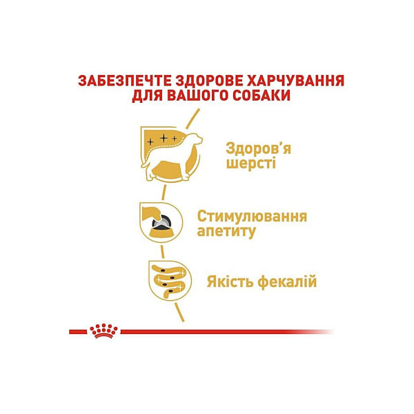 Вологий корм для дорослих собак породи Йоркширський Тер'єр (паштет) Royal Canin Yorkshire Terrier Adult 85 г