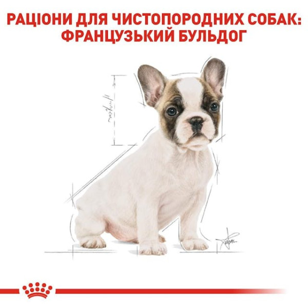 Сухий корм для цуценят породи Французький Бульдог Royal Canin French Bulldog Puppy